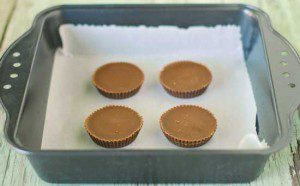 reeses1