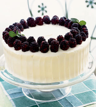 Pastel de Zarzamora y Betún de Limón