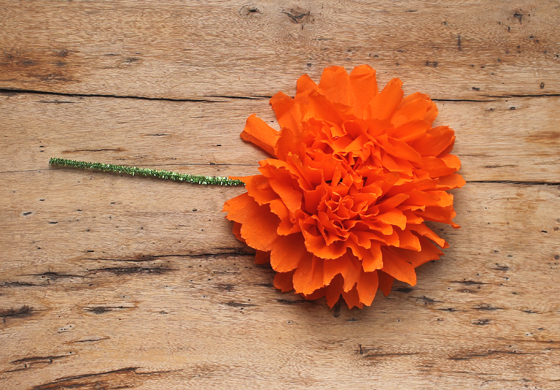  Flores de día de muertos
