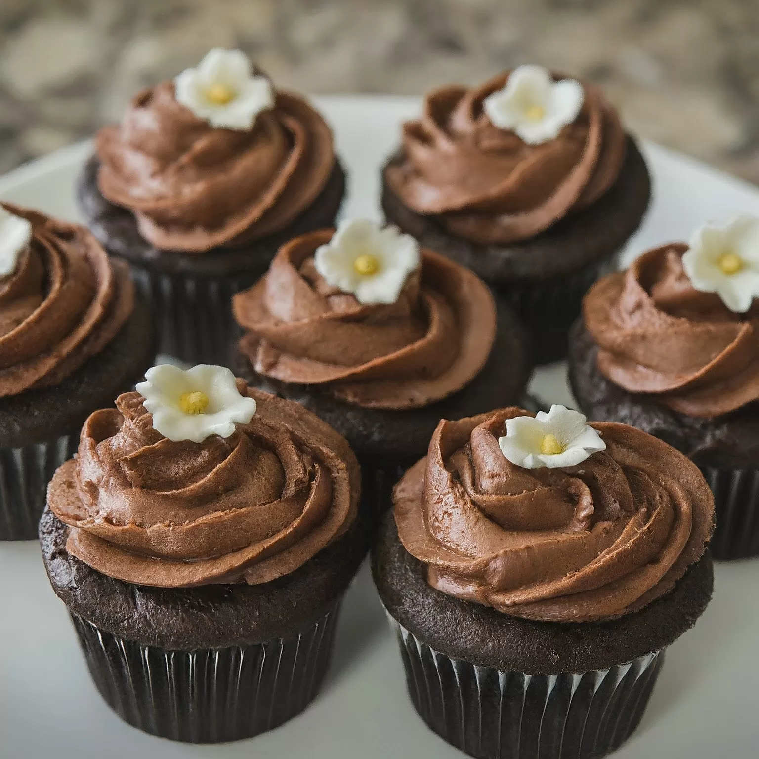 Deliciosos Cupcakes de Chocolate